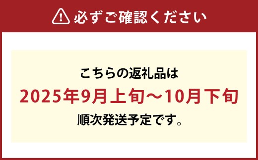 つる付きニューピオーネ1房（1房580ｇ以上）つる付きシャインマスカット（晴王）1房（1房580ｇ以上）