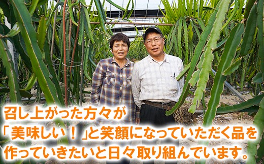 木戸農園のドラゴンフルーツ 計約2kg （赤4~8個） 先行予約 果物