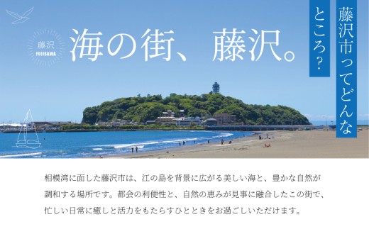 ふるさと納税 ファッション スリッパ 神奈川県 藤沢市  本革 ルームシューズ 国産天然皮革 軽量 ブラウンXL レザー スリッパ 日本製革 革 天然皮 手作り 唯一… 本革 ルームシューズ 国産天然皮革 軽量【ブラウンXL】 レザー