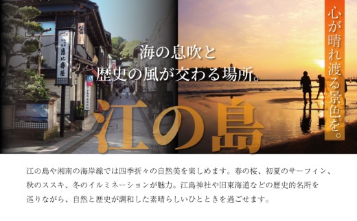 ふるさと納税 ファッション スリッパ 神奈川県 藤沢市  本革 ルームシューズ 国産天然皮革 軽量 ブラウンXL レザー スリッパ 日本製革 革 天然皮 手作り 唯一… 本革 ルームシューズ 国産天然皮革 軽量【ブラウンXL】 レザー