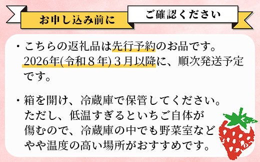 【2025年3月～発送開始】熊本県産 いちご ゆうべに 2箱 (250g×8パック)