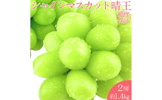 シャインマスカット 晴王 2房 約1.4kg  【2026年7月下旬-8月下旬 発送予定】【シャインマスカット マスカット ぶどう 葡萄 岡山県産   種無し 皮ごと食べる みずみずしい7月～8月にお届け フレッシュ 温室栽培 晴れの国おかやま 果物大国 彩美菜果 岡山県 倉敷市 おすすめ 人気 】 1594816 - 岡山県倉敷市