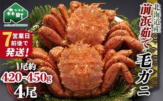 【7営業日前後で発送】北海道 毛ガニ 容量が選べる 前浜茹で毛がに 約420g～450g 4尾 かに カニ 蟹 ガニ がに 森町 毛蟹 毛かに 毛がに 毛カニ 毛ガニ mr1-1040