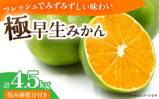 極早生みかん 計4.5kg 傷み補償分付き 期間限定 果物 くだもの フルーツ 蜜柑 ミカン 柑橘 オレンジ おやつ デザート みかんジュース 飲み物 小さい ビタミン補給 おすすめ おすそ分け 国産 食品 産地直送 ギフト 贈り物 お土産 宮崎県 日南市 送料無料_BB159-25