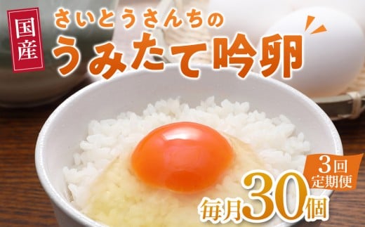 [3回定期便]さいとうさんちのうみたて吟卵 30個入り