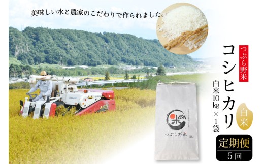 米 令和7年 5回 定期便 つぶら野米 コシヒカリ 白米 10kg×5回 総計50kg / つぶら野米 / 山梨県 韮崎市 [20741644] こめ コメ お米 精米 こしひかり 233633 - 山梨県韮崎市