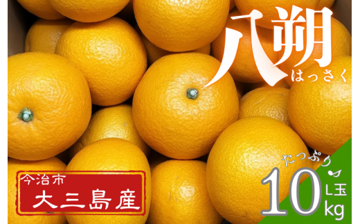 八朔 L玉～・10kg【K003210L10】