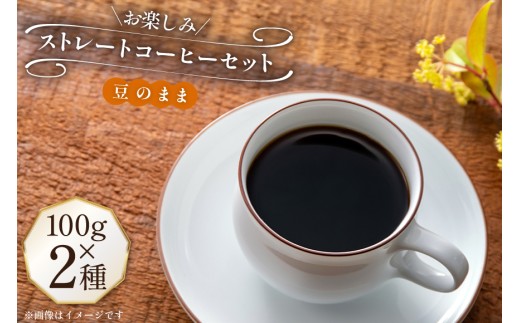 コーヒー豆 100g 2種 (豆のまま) 飲み比べセット [自家焙煎珈琲ぴちかーと 福岡県 筑紫野市 21761244] コーヒー 珈琲 coffee セット ストレートコーヒー 2201574 - 福岡県筑紫野市