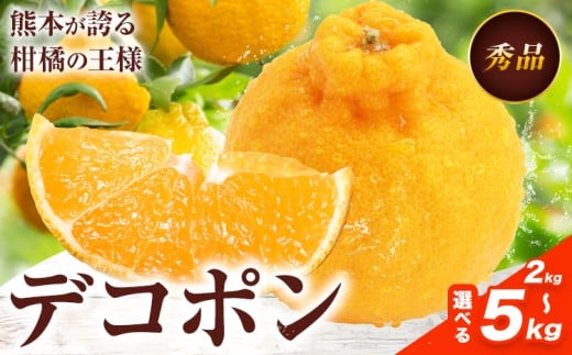 デコポン 選べる 内容量 約2kg〜約5kg 日本フルーツ株式会社 熊本県 長洲町 [1月下旬-2月末頃出荷予定] デコポン 果物 秀品