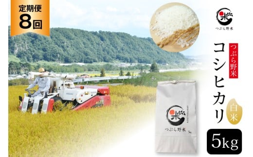 米 令和7年 8回 定期便 つぶら野米 コシヒカリ 白米 5kg×8回 総計40kg [つぶら野米 山梨県 韮崎市 20743440] こめ コメ お米 精米 こしひかり 289776 - 山梨県韮崎市