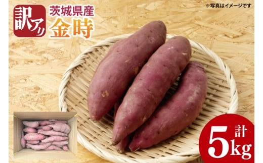 【2025年11月より順次発送】【数量限定】訳アリ 茨城県産金時 約5kg｜さつまいも 芋 サツマイモ 金時 訳あり わけあり 先行予約 茨城県 取手市（AS010）