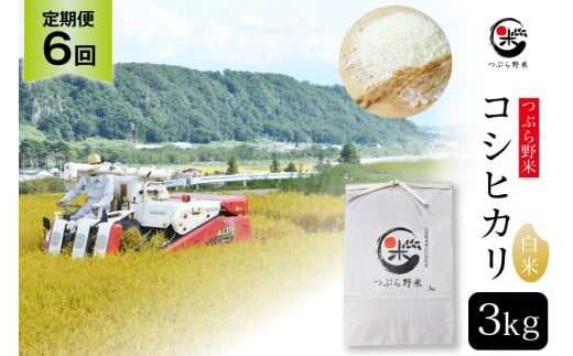 米 令和7年 6回 定期便 つぶら野米 コシヒカリ 白米 3kg×6回 総計18kg [つぶら野米 山梨県 韮崎市 20743437] こめ コメ お米 精米 こしひかり 289772 - 山梨県韮崎市