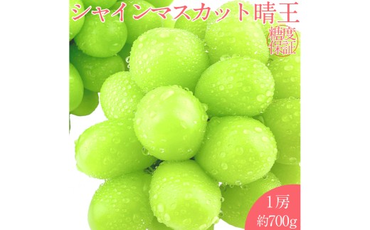 シャインマスカット 晴王 1房 約700g 【2026年7月下旬-8月下旬 発送予定】シャインマスカット マスカット ぶどう 葡萄 岡山県産   種無し 皮ごと食べる みずみずしい7月～8月にお届け フレッシュ 温室栽培 晴れの国おかやま 果物大国 彩美菜果 岡山県 倉敷市 おすすめ 人気 】 1594814 - 岡山県倉敷市