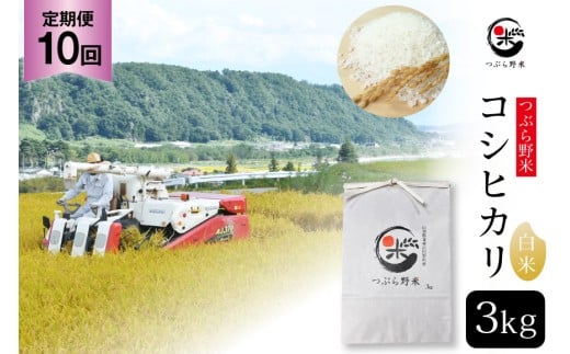 米 令和7年 10回 定期便 つぶら野米 コシヒカリ 白米 3kg×10回 総計30kg [つぶら野米 山梨県 韮崎市 20743439] こめ コメ お米 精米 こしひかり 289774 - 山梨県韮崎市