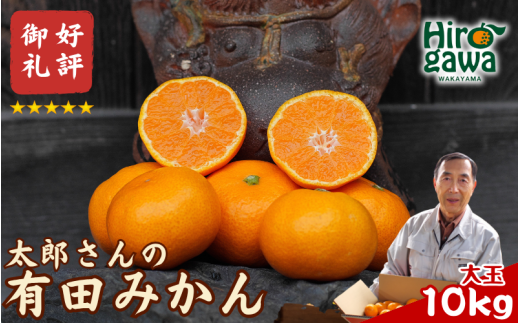 有田 みかん  大玉 10kg / 温州みかん 有田みかん 甘い  和歌山 柑橘 ※12月上旬〜1月上旬に順次発送【ymk004-10-2l】 1998496 - 和歌山県広川町