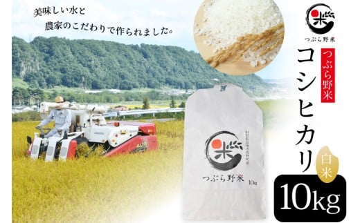 米 令和7年 新米予約 つぶら野米 コシヒカリ 白米 10kg [つぶら野米 山梨県 韮崎市 20743369] こめ コメ お米 精米 こしひかり 233628 - 山梨県韮崎市