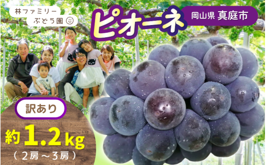 【訳あり】岡山県産 林ファミリーのピオーネ 約1.2kg（約2～3房） 【2025年先行予約】 / 岡山 真庭 ピオーネ 葡萄 ぶどう ブドウ 果物 フルーツ 新鮮 濃厚 人気 数量限定 お買い得 家庭用 お試し ぶどう専門   (2025年9月上旬～発送予定)