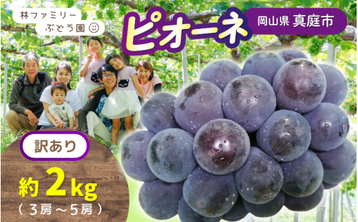 【訳あり】岡山県産 林ファミリーのピオーネ 約2kg（約3～5房） 【2025年先行予約】 / 岡山 真庭 ピオーネ 葡萄 ぶどう ブドウ 果物 フルーツ 新鮮 濃厚 人気 数量限定 お買い得 家庭用 お試し たっぷり ぶどう専門  (2025年9月上旬～発送予定)