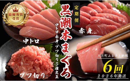 【定期便6回】日本一!黒潮本まぐろ 中トロ・赤身・ブツ切り（3種交互） 1030147 - 高知県大月町