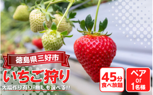 いちご 狩り 体験 チケット 選べる お一人様 ペア 2人 大福づくり あり なし 思い出 家族 夏休み 農園 観光 いちごはうす 民宿 農家民宿 フルーツ狩り 果物 徳島 三好 みよし