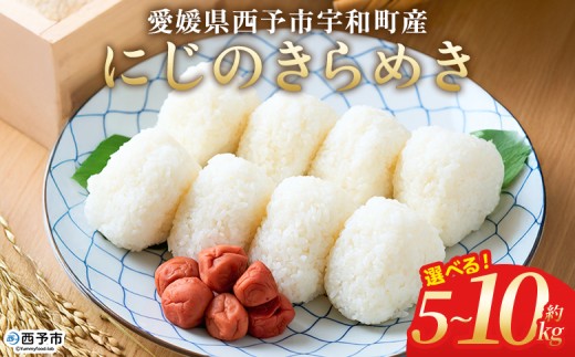 [にじのきらめき 約5kg/10kg] 選べる 5キロ 10キロ ニジノキラメキ 米 お米 コメ こめ 白米 精米 ご飯 ライス 大粒 穀物 西予応援米 特産品 愛媛県産 西予市産 宇和町産 前田農園 愛媛県 西予市 [常温]