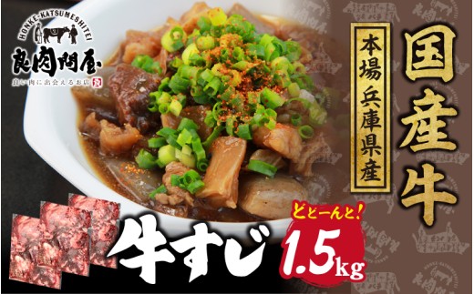 [レビューキャンペーン]国産 牛すじ 1.5kg(500g×3袋)