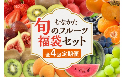 [レビューCP対象]何が届くかお楽しみ!むなかた旬のフルーツ福袋定期便[年4回][JAほたるの里]