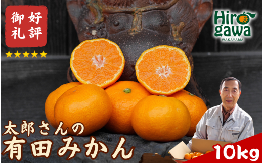 有田 みかん 10kg M・L  / 温州みかん 有田みかん 甘い 和歌山 柑橘 ※12月上旬〜1月上旬に順次発送【ymk004-10-ml】 1998498 - 和歌山県広川町