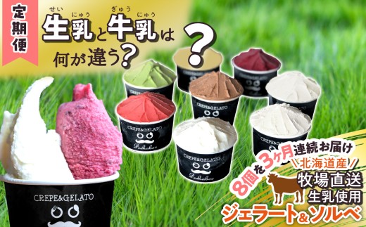 [ 3ヶ月 定期便 ]北海道産 生乳 ジェラート アイス 毎月 8個 詰め合わせ ジェラート セット カップアイス スイーツ