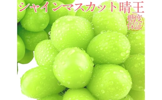 《2026年発送》シャインマスカット 晴王 2房 約1.2kg 2回 定期便 7月・8月に1回ずつお届け【シャインマスカット マスカット ぶどう 葡萄 岡山県産   種無し 皮ごと食べる みずみずしい7月～8月にお届け フレッシュ 温室栽培 晴れの国おかやま 果物大国 彩美菜果 岡山県 倉敷市 おすすめ 人気 】 1594819 - 岡山県倉敷市