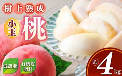 桃 （ 小玉 ）約 4kg 箱 （ 13 ～ 15個 ）| フルーツ 果物 くだもの もも モモ ピーチ 奈良県 五條市 果実 果汁 熟成 おいしい 甘い こだわり 大容量 たっぷり どっさり 送料無料 農家直送 産地直送 お取り寄せ グルメ 冷蔵 7月 順次発送 デザート 西岡農園 低農薬 有機質肥料 こだわり おすすめ 樹上熟成 適熟 やわらかい 果肉 芳醇 773076 - 奈良県五條市