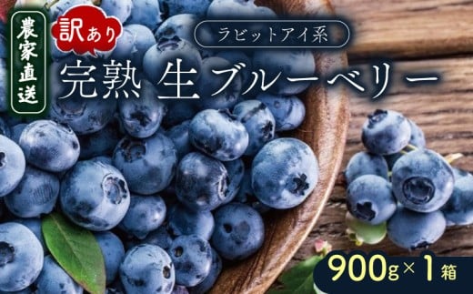 訳あり 完熟生ブルーベリー(ラビットアイ系)900g | 2025年発送 ブルーベリー ベリー フルーツ 果物 くだもの 産地直送 期間限定 数量限定 わけあり 訳アリ 生 旬 季節限定 高知県 南国市