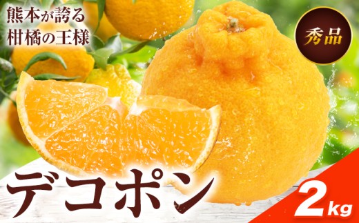 デコポン 約2kg 日本フルーツ株式会社 熊本県 長洲町 《2026年1月下旬-2月末頃出荷予定》 熊本県 長洲町 送料無料 デコポン 果物 秀品