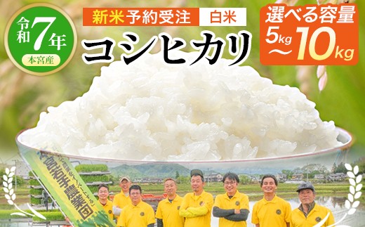 [令和7年産 新米予約受注][内容量が選べる!]福島県産コシヒカリ≪白米≫ 5kg,10kgから選択 [07214-0392-0430]