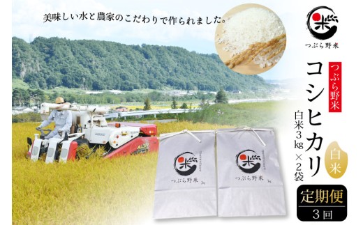 米 令和7年 3回 定期便 つぶら野米 コシヒカリ 白米 3kg×2袋×3回 総計18kg / つぶら野米 / 山梨県 韮崎市[20743386] こめ コメ お米 精米 こしひかり 233630 - 山梨県韮崎市