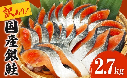 [訳あり] 産地直送! どっさり 2.7kg! 国産銀鮭 定塩切身 冷凍 鮭 切り身 国産 銀鮭 定塩銀鮭 切身 期間限定 簡易包装 不揃い 厚切り 肉厚 家庭用 サーモン 塩鮭 しゃけ シャケ 焼き魚 宮城県 石巻市 魚介類 魚 海産物 さけ おかず おつまみ ふるさと納税 18000円 石巻応援