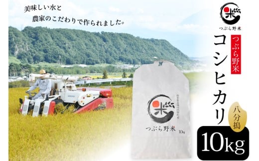米 令和7年 新米予約 つぶら野米 コシヒカリ 八分搗き 10kg [つぶら野米 山梨県 韮崎市 20743370] こめ コメ お米 精米 こしひかり 433893 - 山梨県韮崎市