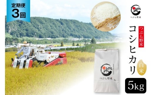 米 令和7年 3回 定期便 つぶら野米 コシヒカリ 白米 5kg×3回 総計15kg [つぶら野米 山梨県 韮崎市 20743384] こめ コメ お米 精米 こしひかり 233629 - 山梨県韮崎市