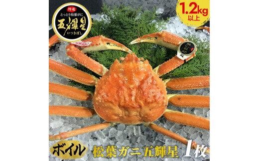576.【ボイル】鳥取ブランド　松葉ガニ『五輝星』※2025年11月上旬～2026年3月下旬頃に順次発送予定※着日指定不可