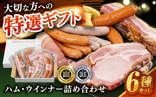 ＼DLG金賞・銀賞受賞！／糸島の陽光 ハム 6種 セット6 糸島市 / 志摩スモークハウス ハム ソーセージ 食べ比べ [AOA045] 2182055 - 福岡県糸島市