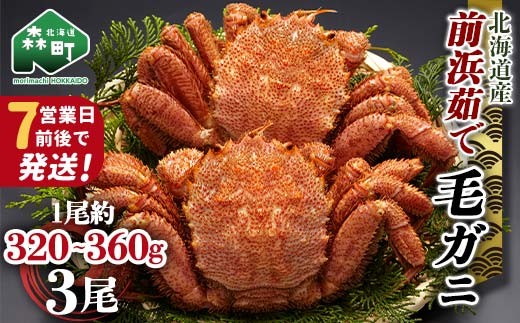 【7営業日前後で発送】北海道 毛ガニ 容量が選べる 前浜茹で毛がに 約320g～360g 3尾 かに カニ 蟹 ガニ がに 森町 毛蟹 毛かに 毛がに 毛カニ 毛ガニ mr1-1029
