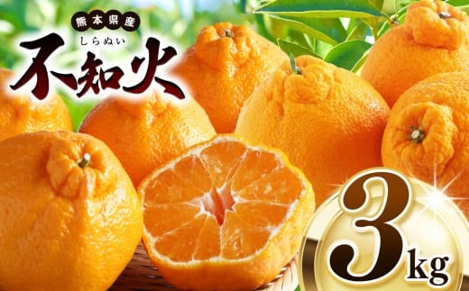 [ 先行予約 ] 不知火 約 3kg 池田ファーム | 柑橘 みかん フルーツ 和製 果物 熊本県産 熊本県 熊本 くまもと 和水町 なごみまち なごみ ミカン 柑橘類 果物 フルーツ