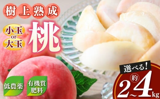 桃(小玉)約4kg箱(13~15個)
