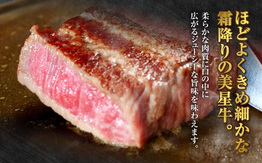 【定期便6か月】岡山 黒毛和牛 美星牛 A4等級以上 牛脂付き 6か月定期便 合計約2400g