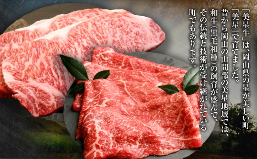【定期便6か月】岡山 黒毛和牛 美星牛 A4等級以上 牛脂付き 6か月定期便 合計約2400g