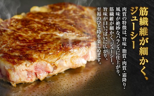 【定期便6か月】岡山 黒毛和牛 美星牛 A4等級以上 牛脂付き 6か月定期便 合計約2400g