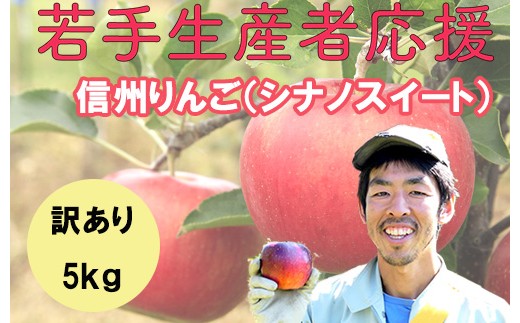 若手生産者応援 りんご (シナノスイート) 訳あり 5kg 数量限定 先行予約 川上啓介 果物 フルーツ 家庭用 長野県 麻績村 麻績 信州
