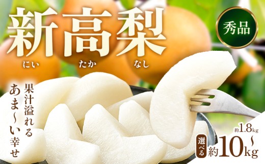 新高梨 約 1.8kg 4～7玉 約 5kg 6～16玉 約 10kg 12～32玉 日本フルーツ株式会社《2025年9月上旬-10月末出荷》熊本県 長洲町 新高梨 梨 果物 フルーツ スイーツ デザート ギフト ご贈答