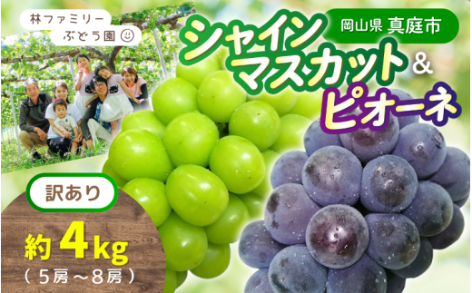 【訳あり】岡山県産 林ファミリーのシャインマスカット&ピオーネ 約4kg（約5～8房） 【2025年先行予約】 / 岡山 真庭 食べ比べ シャインマスカット ピオーネ 葡萄 ぶどう ブドウ 果物 フルーツ 新鮮 濃厚 人気 数量限定 お買い得 家庭用 たっぷり ぶどう専門  (2025年9月上旬～発送予定)