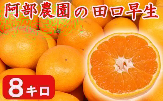 【訳あり品】阿部農園の「田口早生 約8kg」 ／ ミカン みかん 蜜柑 柑橘類 糖度 訳あり 11月 先行予約 年内配送 甘い 温州みかん 早生 年内発送 フルーツ ＜112-001＞ 955909 - 大分県杵築市